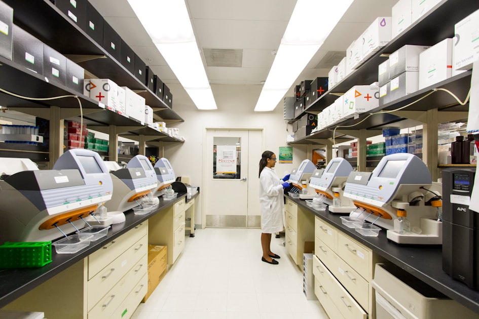 Understanding Our Medical Lab Services
